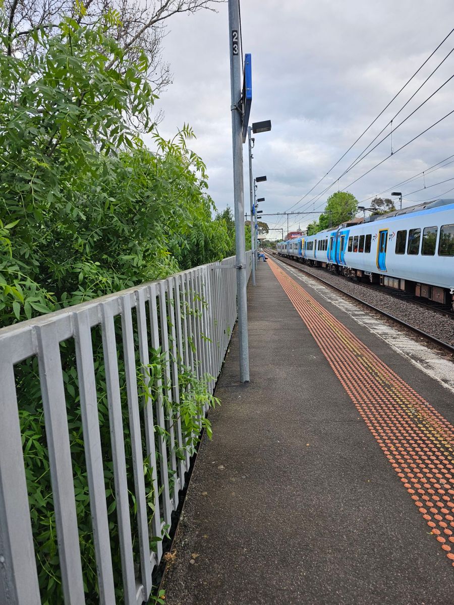 The Week That&nbsp;Was.